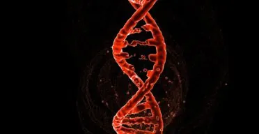 NAD+ Rescues Mouse Tauopathy by Fixing Alternative Splicing