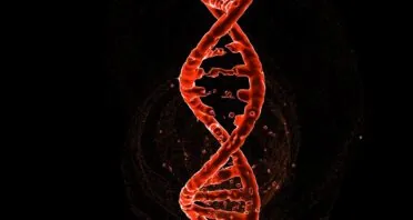 NAD+ Rescues Mouse Tauopathy by Fixing Alternative Splicing