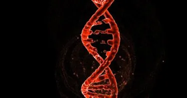 NAD+ Rescues Mouse Tauopathy by Fixing Alternative Splicing