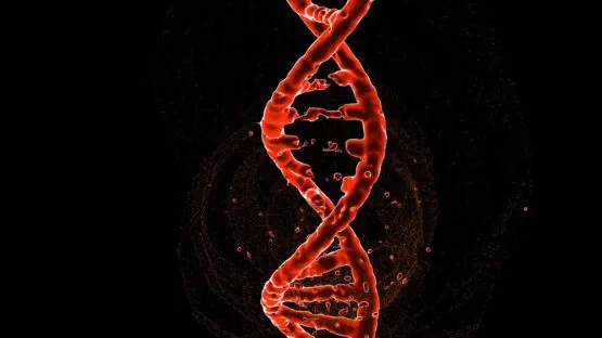 DNA Closeup
