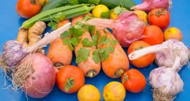 High-Fiber Foods May Fight T Cell Senescence