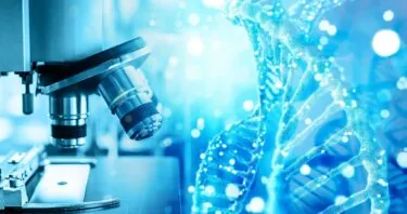 EDA2R May Be an Aging Biomarker and Inflammaging Target