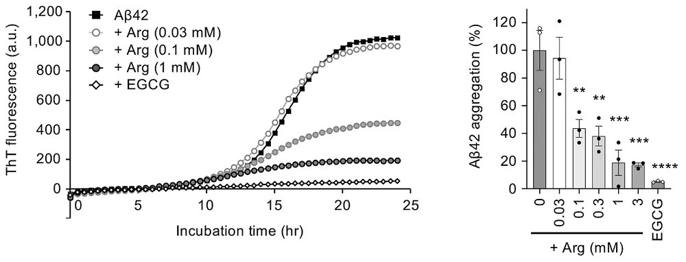 Arginine amyloid beta