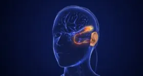 Researchers Find a Potential Target for Hearing Loss