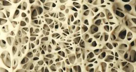 A Key Molecular Link Between Aging and Osteoporosis