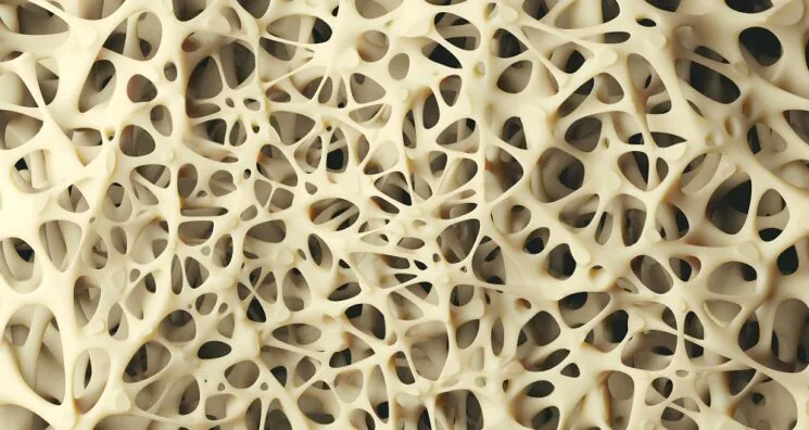 A Key Molecular Link Between Aging and Osteoporosis