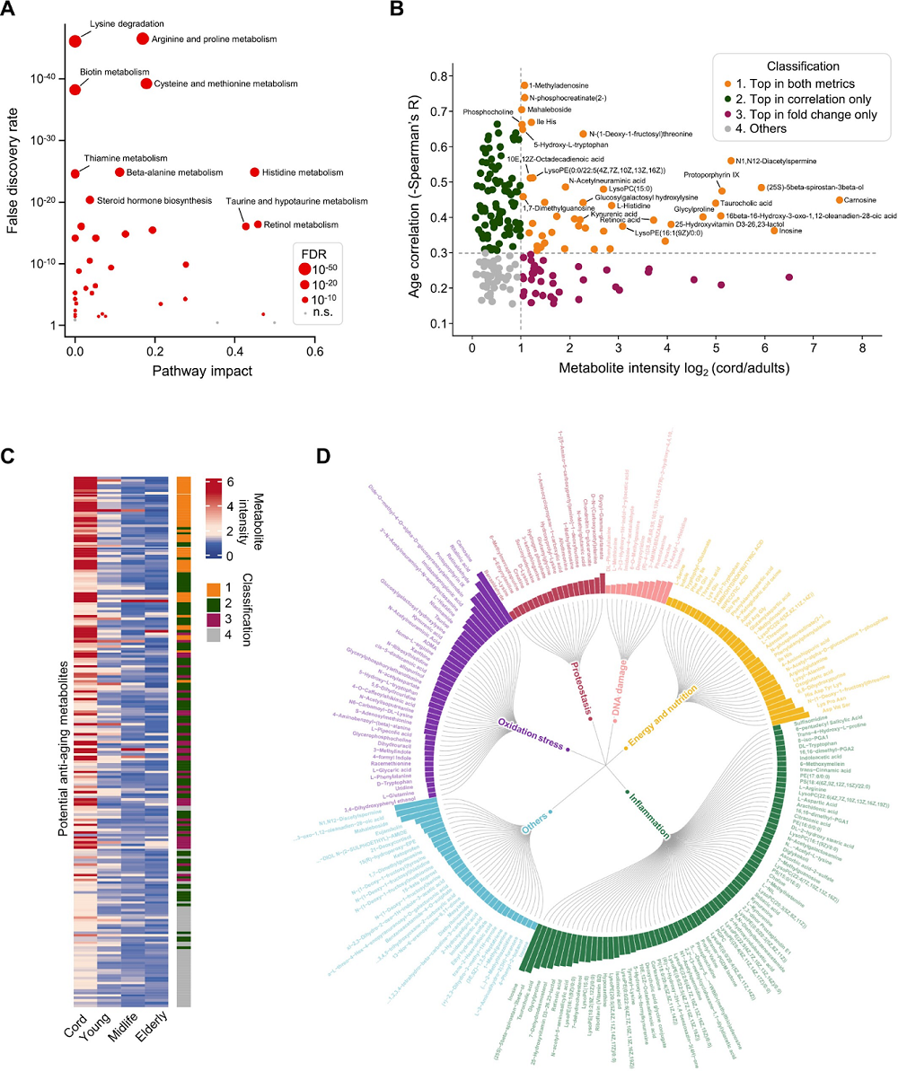 Cord metabolites 3
