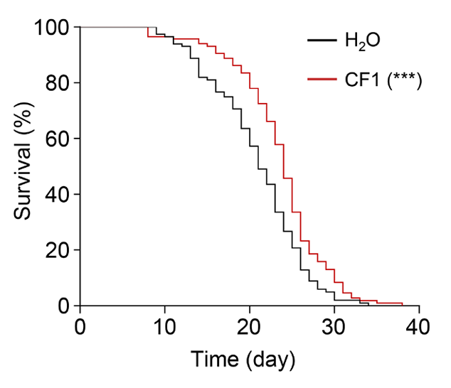 Cord metabolites 4