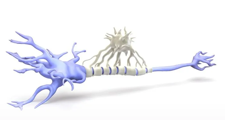 Microglia Replacement Already Working in Humans