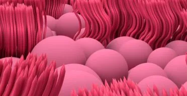 Nasal Tissue Extracellular Vesicles Improve Health in Mice