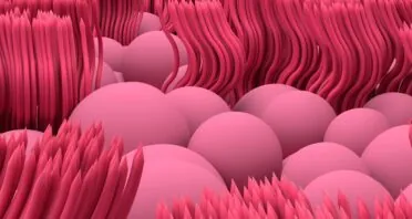 Nasal Tissue Extracellular Vesicles Improve Health in Mice