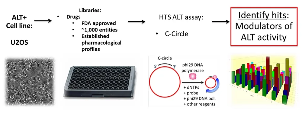 OncoSens_ProjectWorkFlow