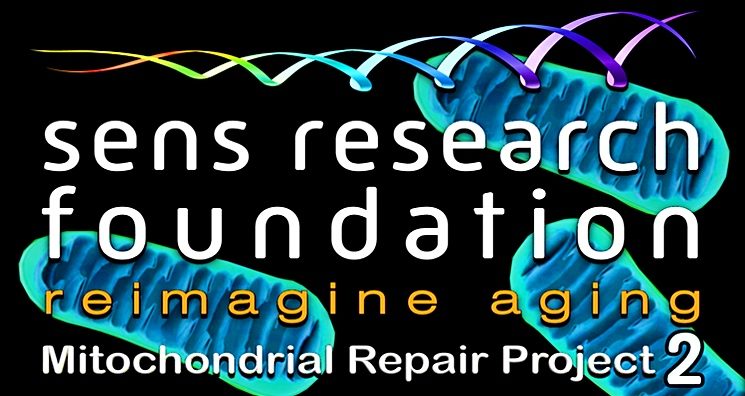 https://www.lifespan.io/wp-content/uploads/edd/2019/03/SENS_MitoMouse_Thumbnail-745x396.jpg