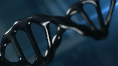 DNA and its stability is important in aging.