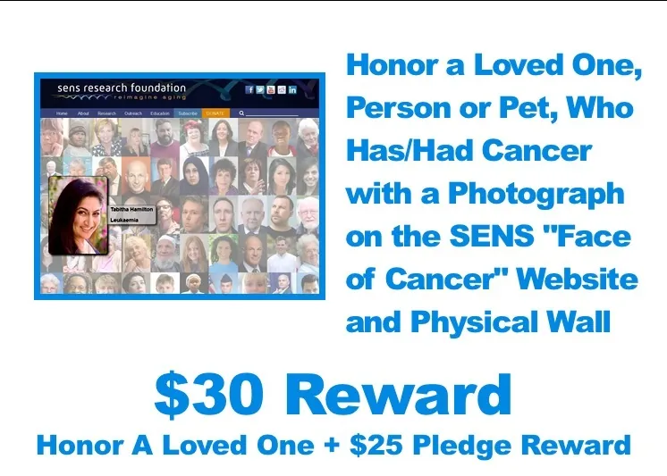 OncoSENS_Reward30__HonorWall