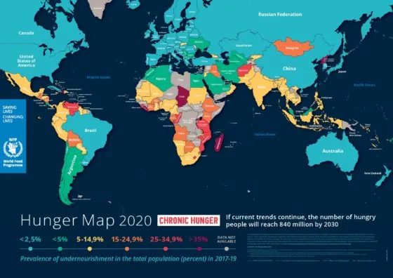 World hunger map 2020 shows the parts of the world where food shortages are most serious.
