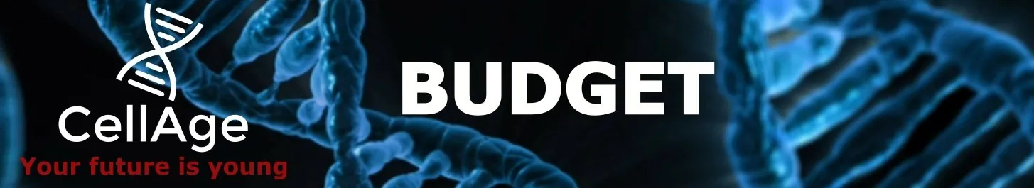 cellage_header_budget