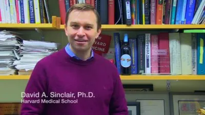 David Sinclair