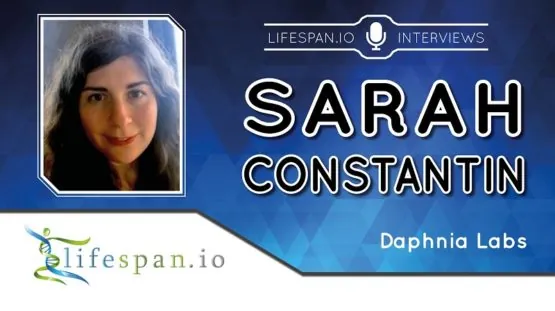 Sarah Constantin Interview