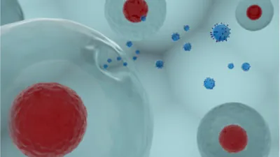 Exosomes
