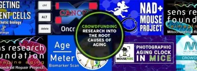 Crowdfunding research into the root causes of aging