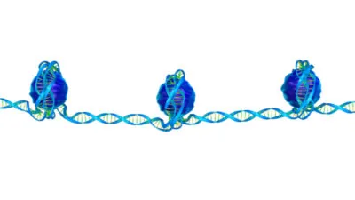 Epigenetic wrapping