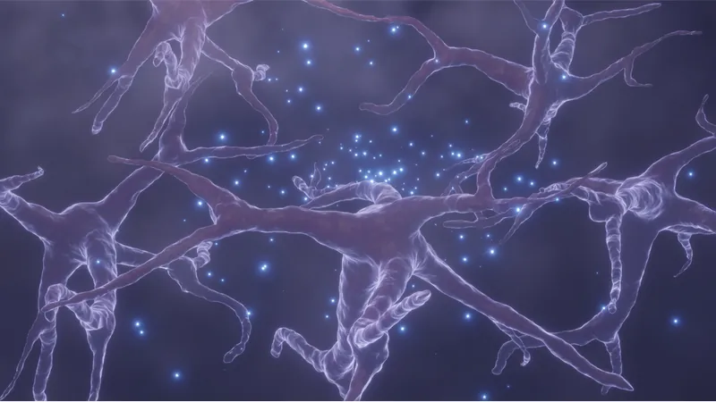 Neurons