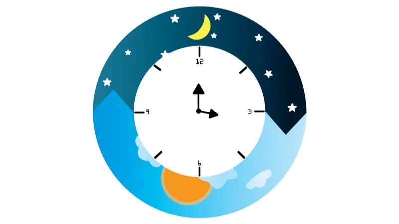 The circadian clock