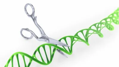 Image of scissors cutting DNA to represent gene editing with CRISPR
