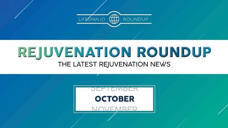 Rejuvenation Roundup October