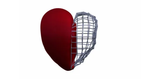 Heart scaffold