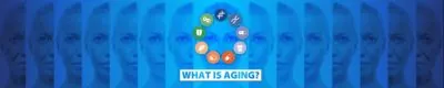 What Is Aging? banner