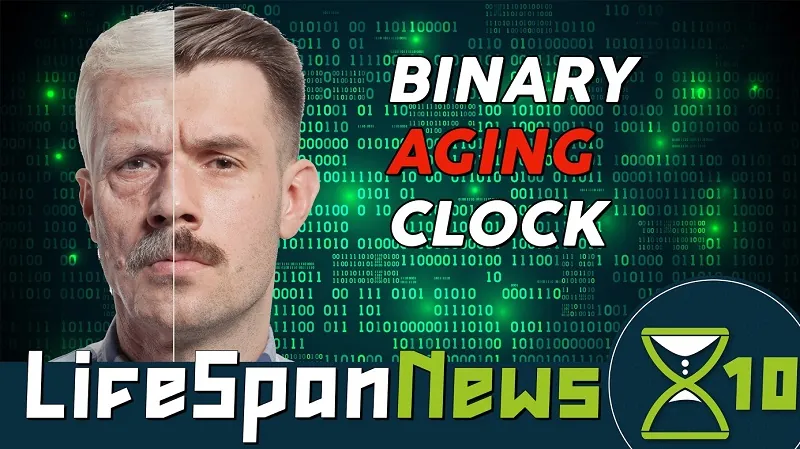 Lifespan news, binary aging clock.