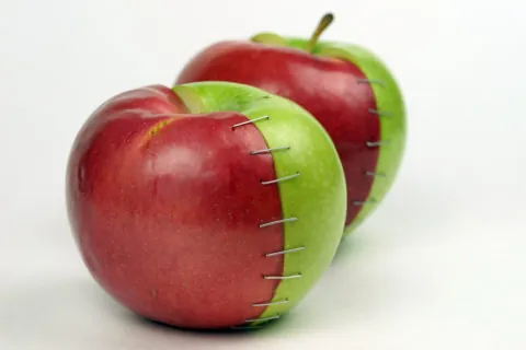Stitched apple