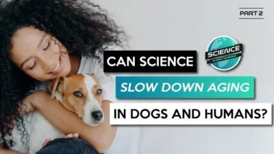 STSTW Dog Aging Project 2