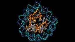 Chromatin and histones