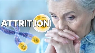 Telomere Attrition and Fibrosis