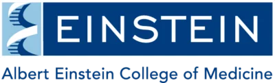Albert Einstein Logo