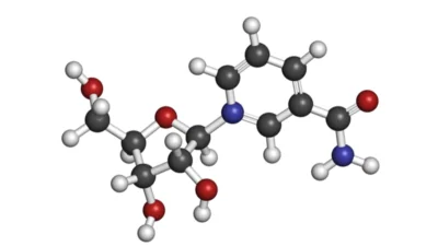 NR molecule