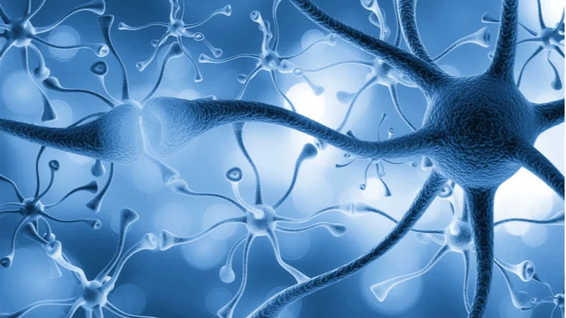 Neuron Connections