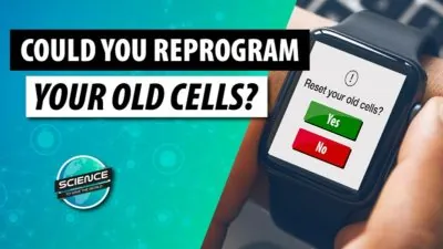 STSTW Cellular Reprogramming