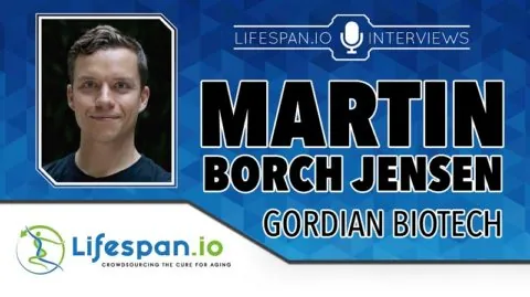 Martin Borch Jensen interview