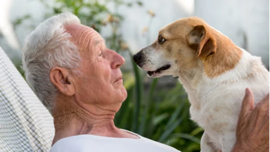 Elderly and dog
