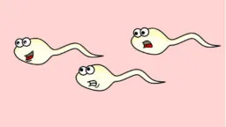 Unhappy Sperm