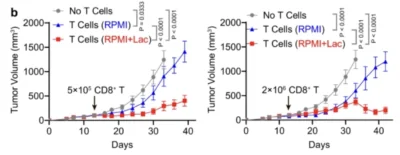 Lactate 2