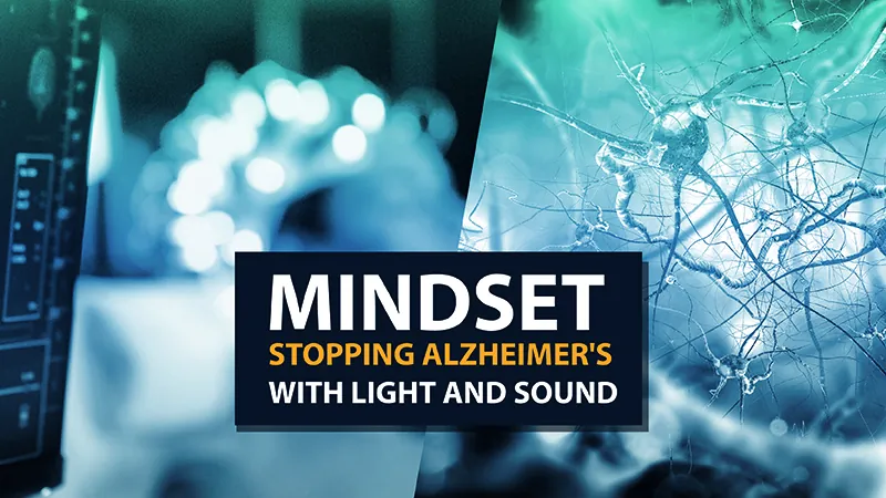 The Mindset project Box