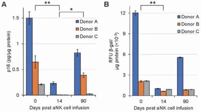 Effectiveness of aNK cells