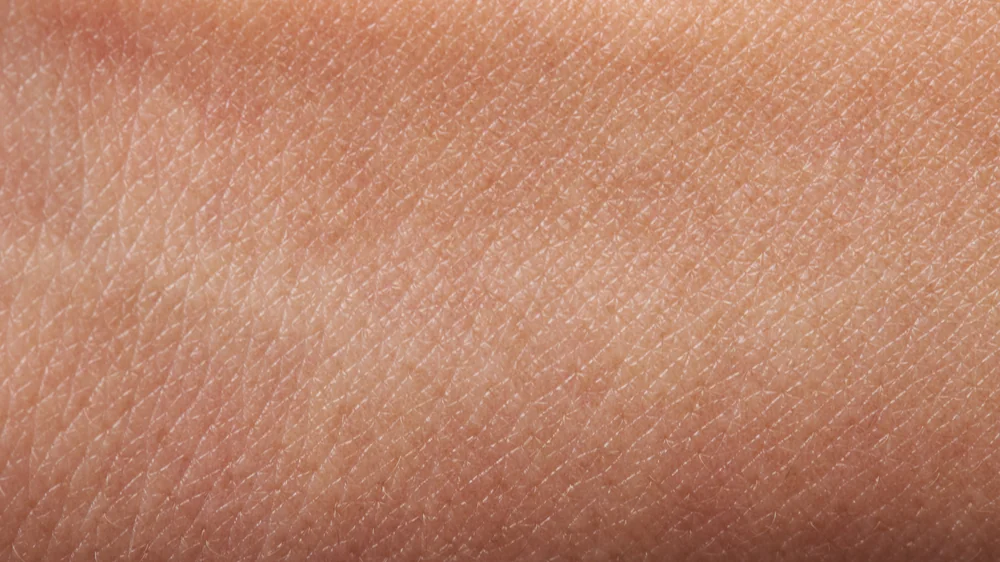Clearing Out Senescent Cells Rejuvenates Human Skin