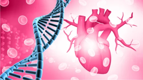 Heart DNA