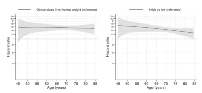 Overweight 2